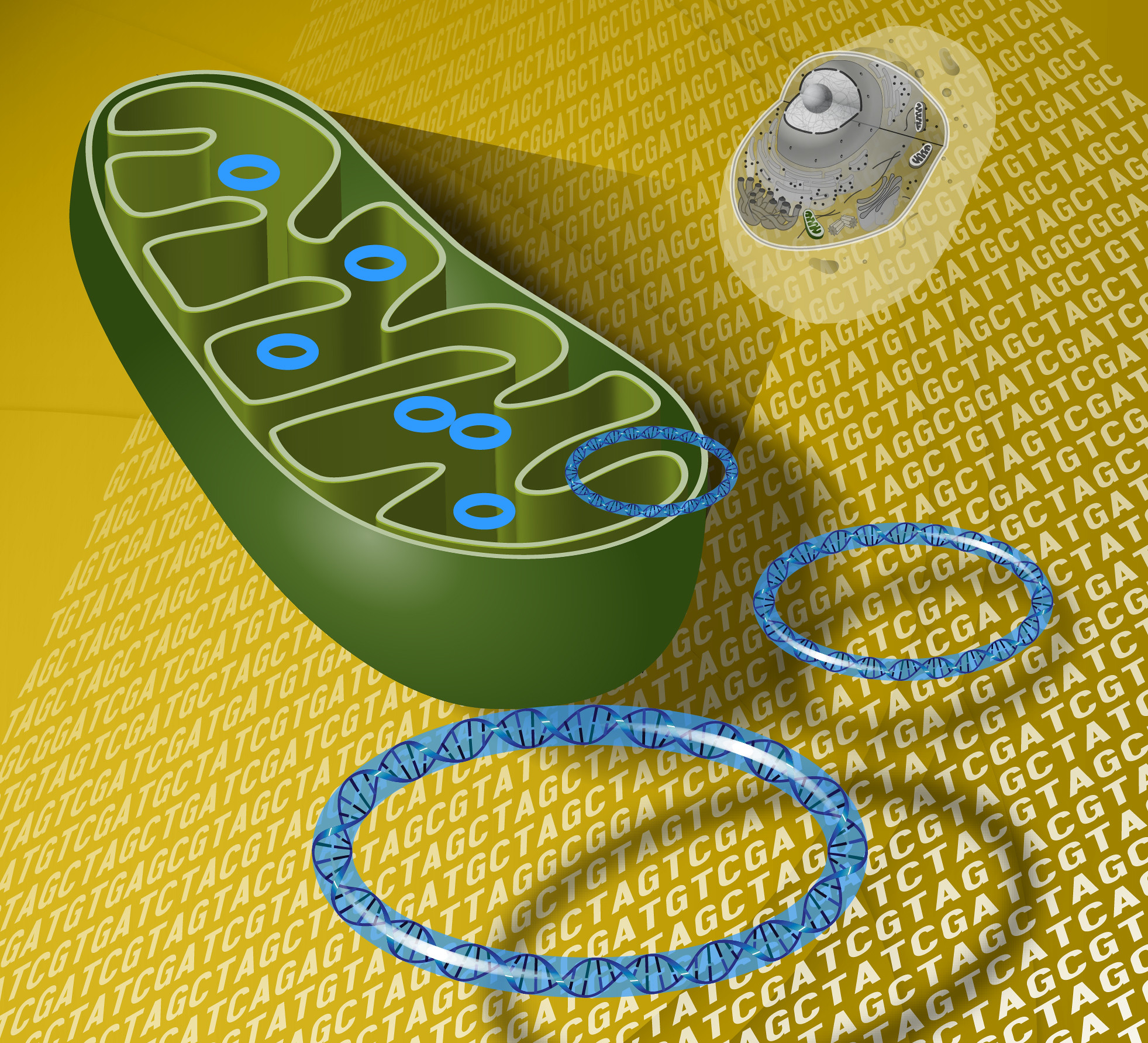 PDUFA Date Extended for Potential Barth Syndrome Therapy Elamipretide
